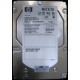 HP 454228-001 146Gb 15k SAS HDD (Кашира)