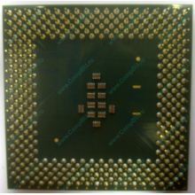 Celeron 1000A в Кашире, процессор Intel Celeron 1000 A SL5ZF (1GHz /256kb /100MHz /1.475V) s.370 (Кашира)