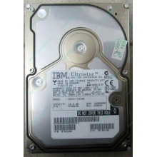 Жесткий диск 18.2Gb IBM Ultrastar DDYS-T18350 Ultra3 SCSI (Кашира)