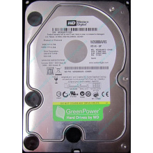 Б/У жёсткий диск 500Gb Western Digital WD5000AVVS (WD AV-GP 500 GB) 5400 rpm SATA (Кашира)